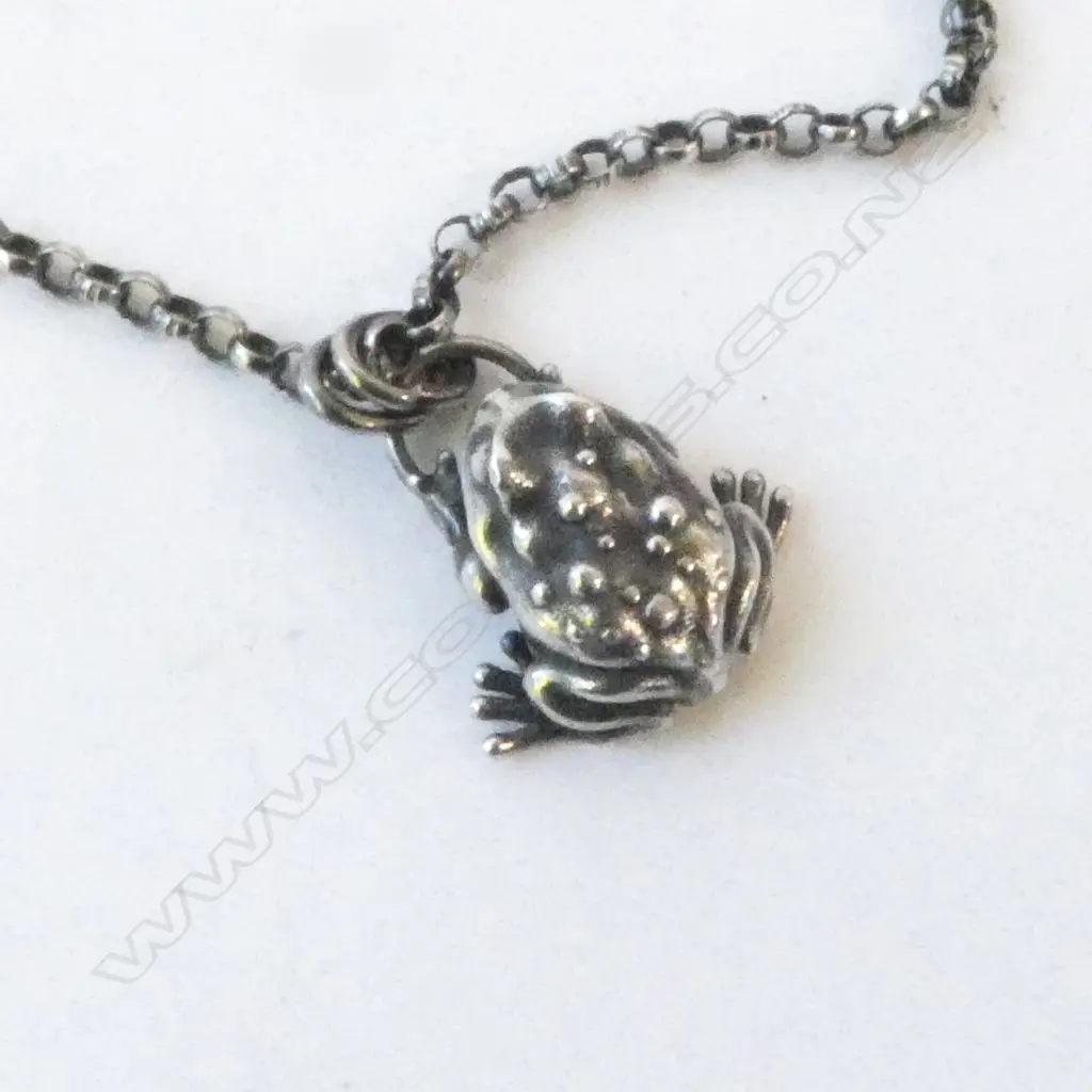 SILVER FROG PENDANT on SILVER CHAIN L.50cm Image 1++