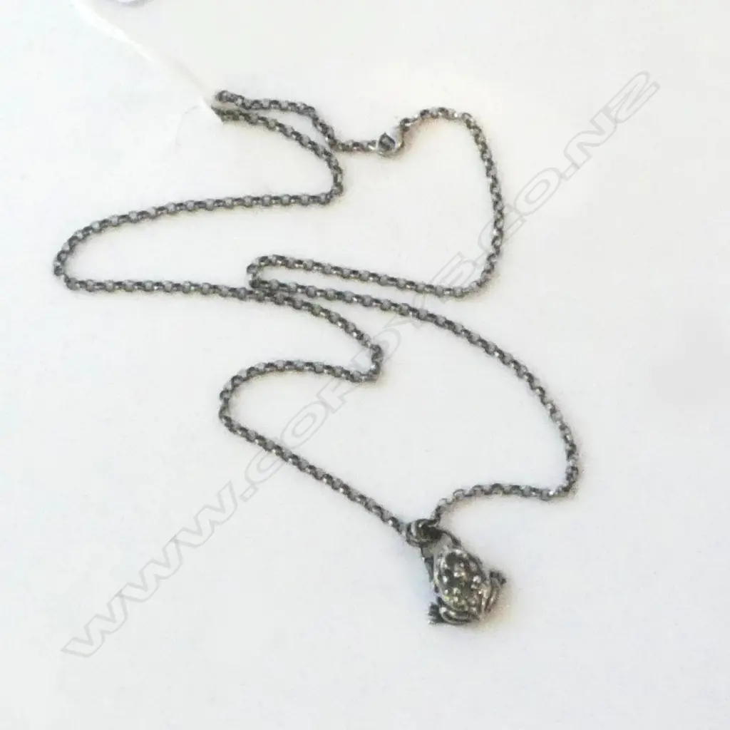 SILVER FROG PENDANT on SILVER CHAIN L.50cm Image 1++