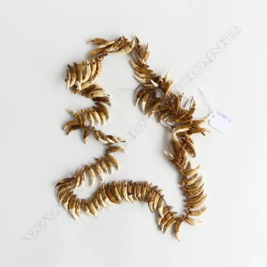 DOG TOOTH NECKLACE FROM PAPUA NEW GUINEA; Aprox. L.920mm