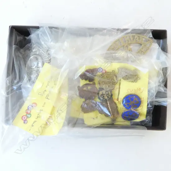 ASST. REGIMENTAL BADGES