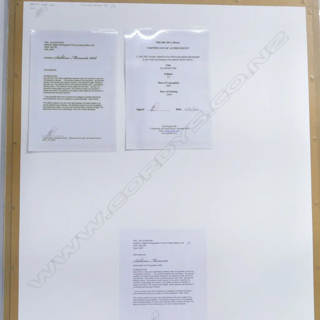 NIKI HILL DIGITAL PHOTOGRAPH 'ICE ORCHID PINK' LTD. ED.3. 2007. 690 X 570mm Image 1++