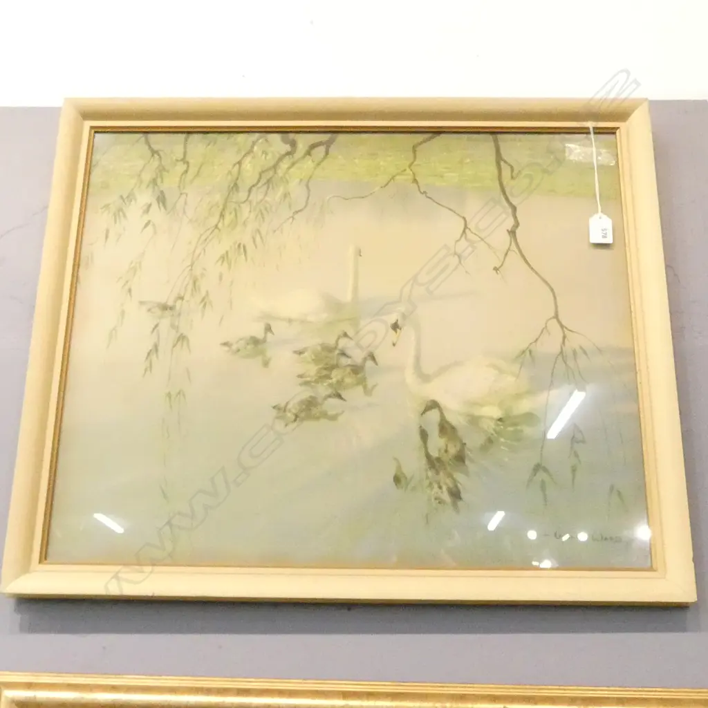 VERNON WARD SWANS PRINT 490x590mm Image 1++