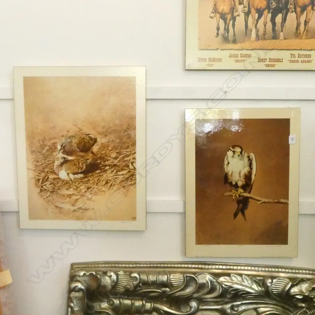 2 RAYMOND CHING LTD. ED MOUNTED PRINTS; FALCON & BRONZE WINGED PIGEON 620x495mm Image 1++