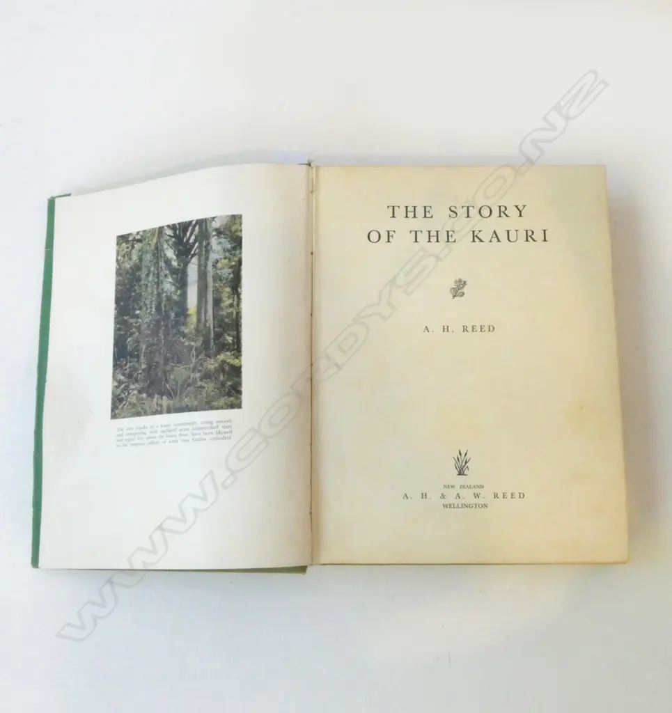 FIRST ED. 'THE STORY OF THE KAURI' A. H. REED, 1953 No. 2308, SIGNED  Image 1++