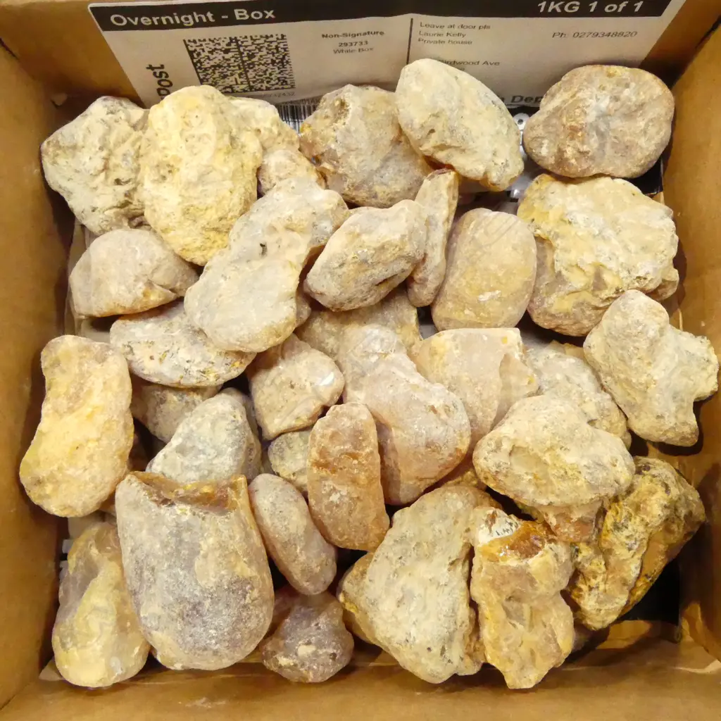 COLLECTION OF KAURI GUM  Image 1++