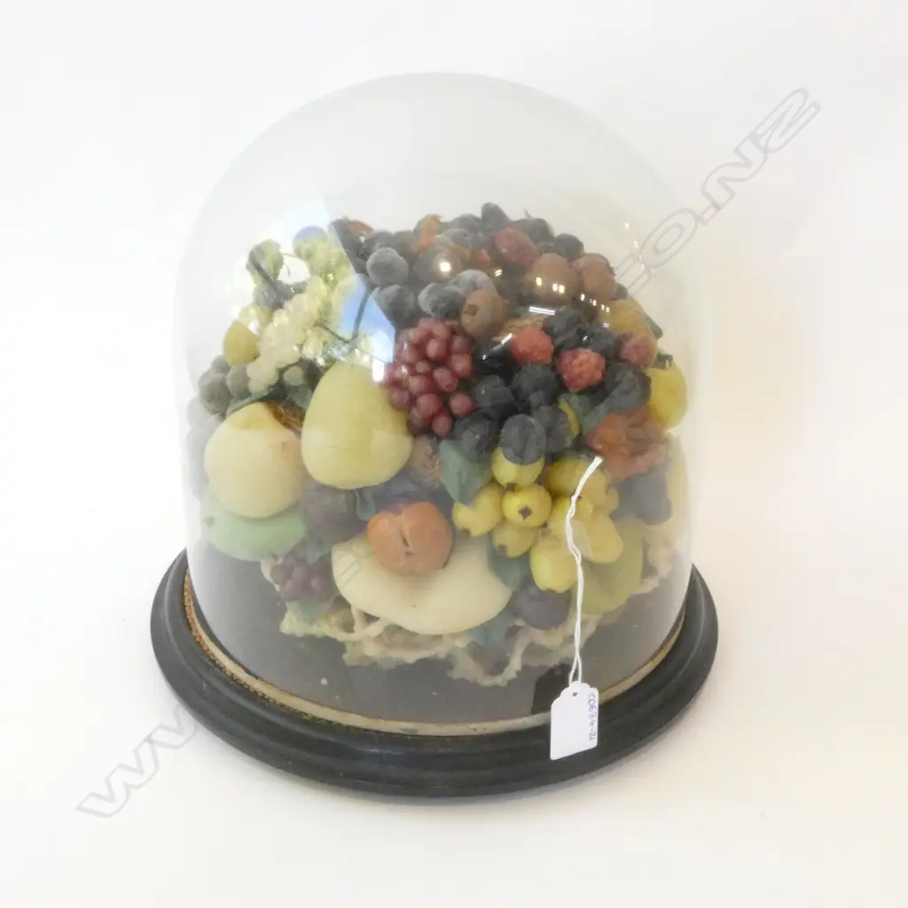 WAX FRUIT DISPLAY H.280mm Image 1++