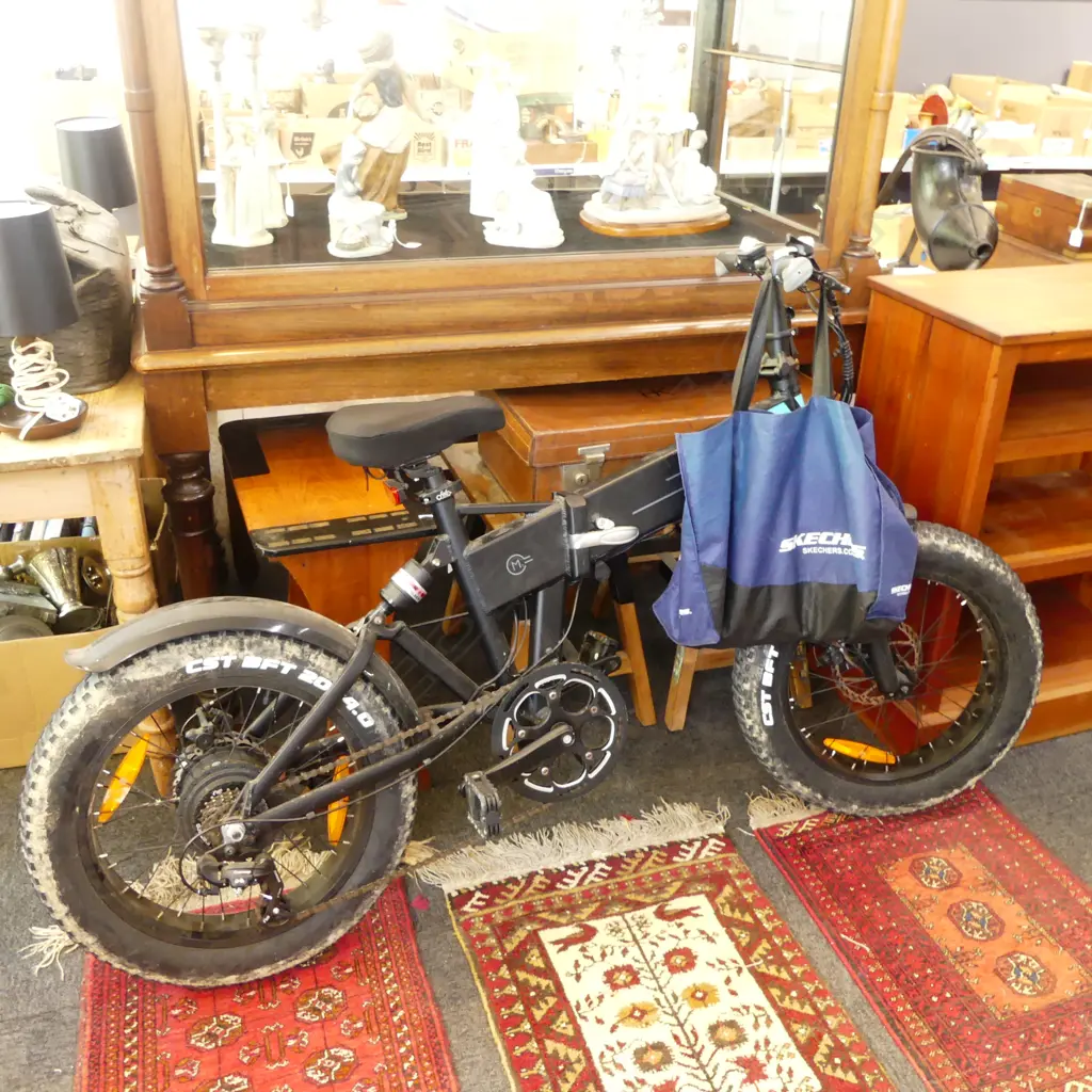 FIIDO FOLDING ELECTRIC BIKE w. unofficial charger Image 1++