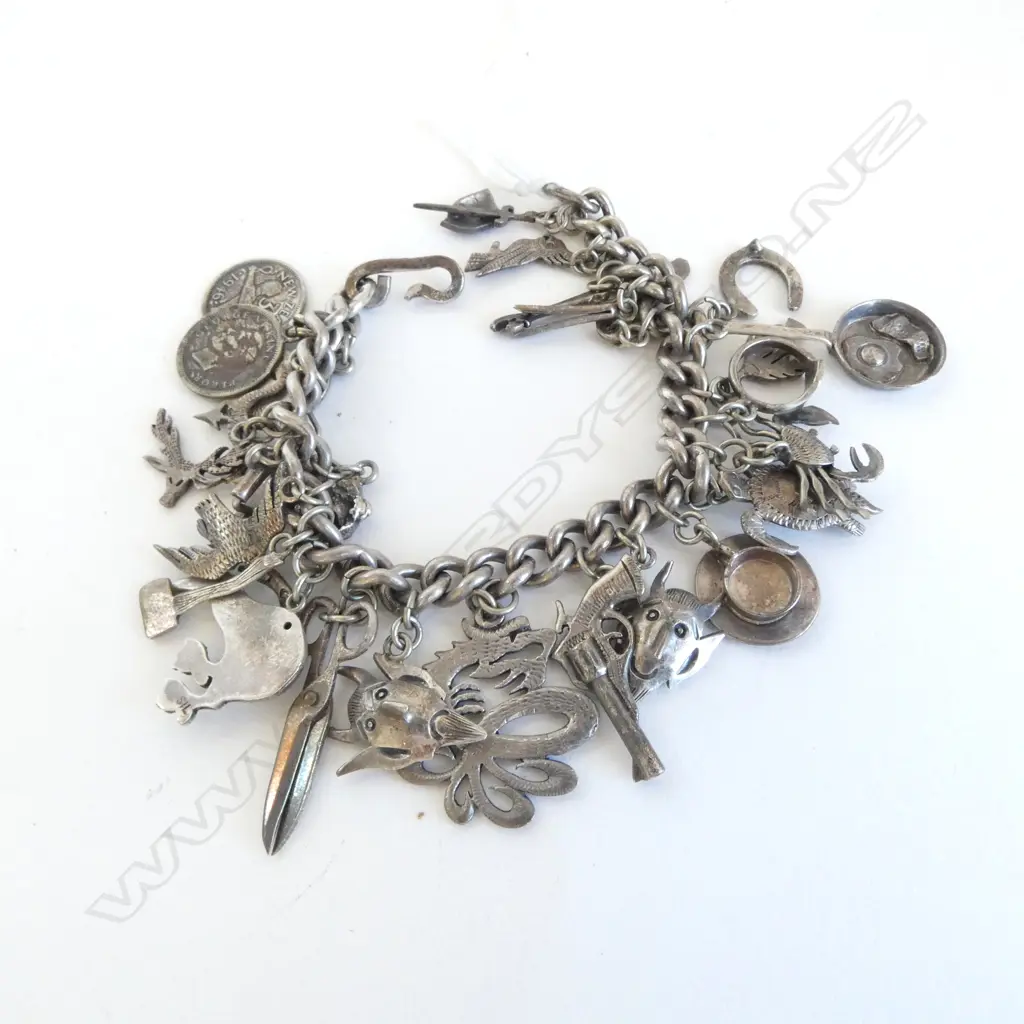 VINTAGE SILVER CHARM BRACELET NZ charms Including some Patoni (Tony Buller) charms + others Image 1++