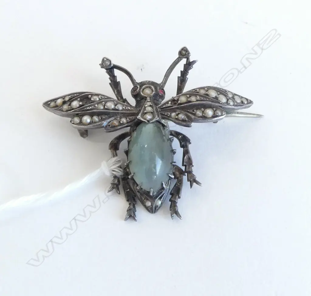 VINTAGE BUG BROOCH W.45mm Image 1++