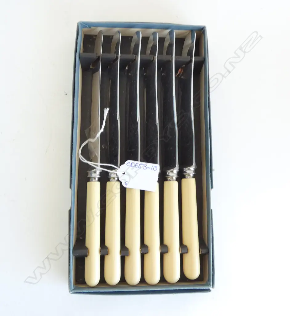 6 CASED IVORINE 'BONE' HANDLE KNIVES Image 1++
