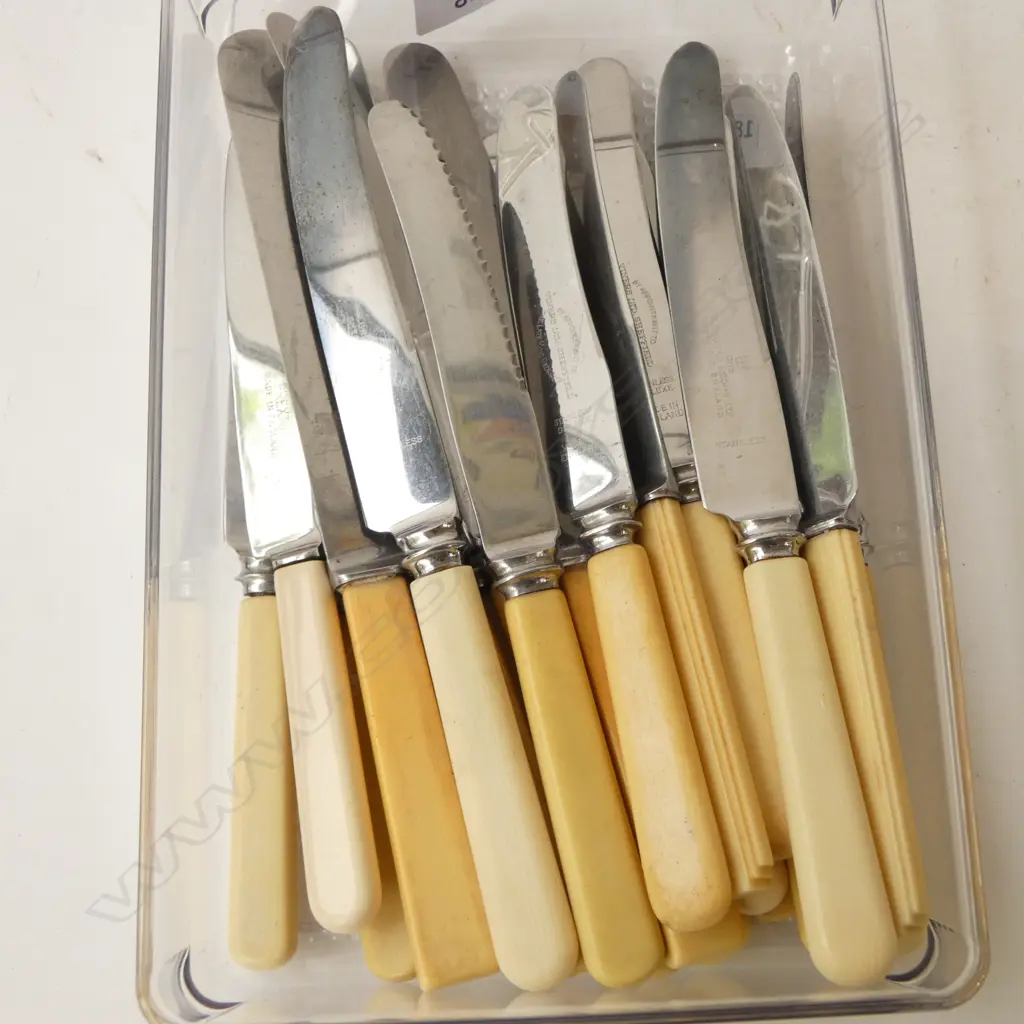 22 VINTAGE ‘BONE’ HANDLE KNIVES SHEFFIELD  Image 1++