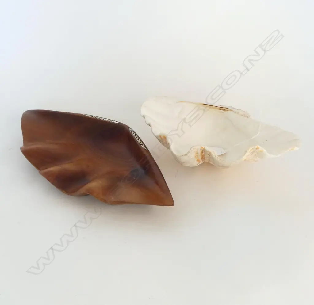 CLAM SHELL (W.270mm) AND WOODEN SOLOMON ISLAND CLAM SHELL WITH M.O.P. INLAY (W.360mm) Image 1++