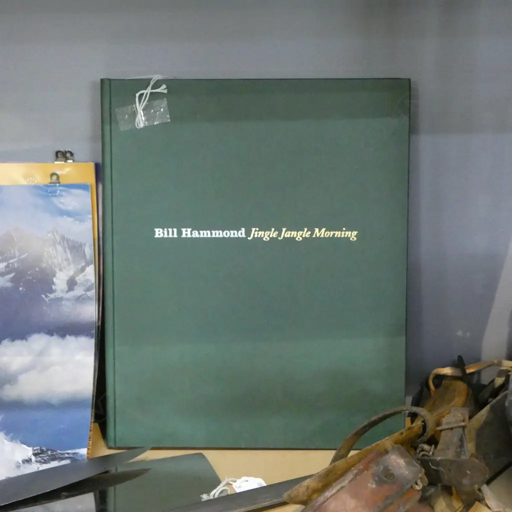 BOOK; BILL HAMMOND 'JINGLE JINGLE MORNING' CHRISTCHURCH ART GALLERY, 2008 Image 1++