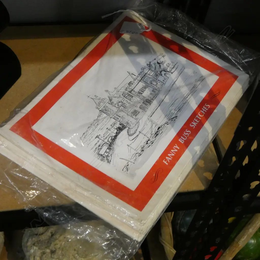 5 FOLDERS OF 'FANNY BUSS SKETCHES' 210 X 300mm Image 1++