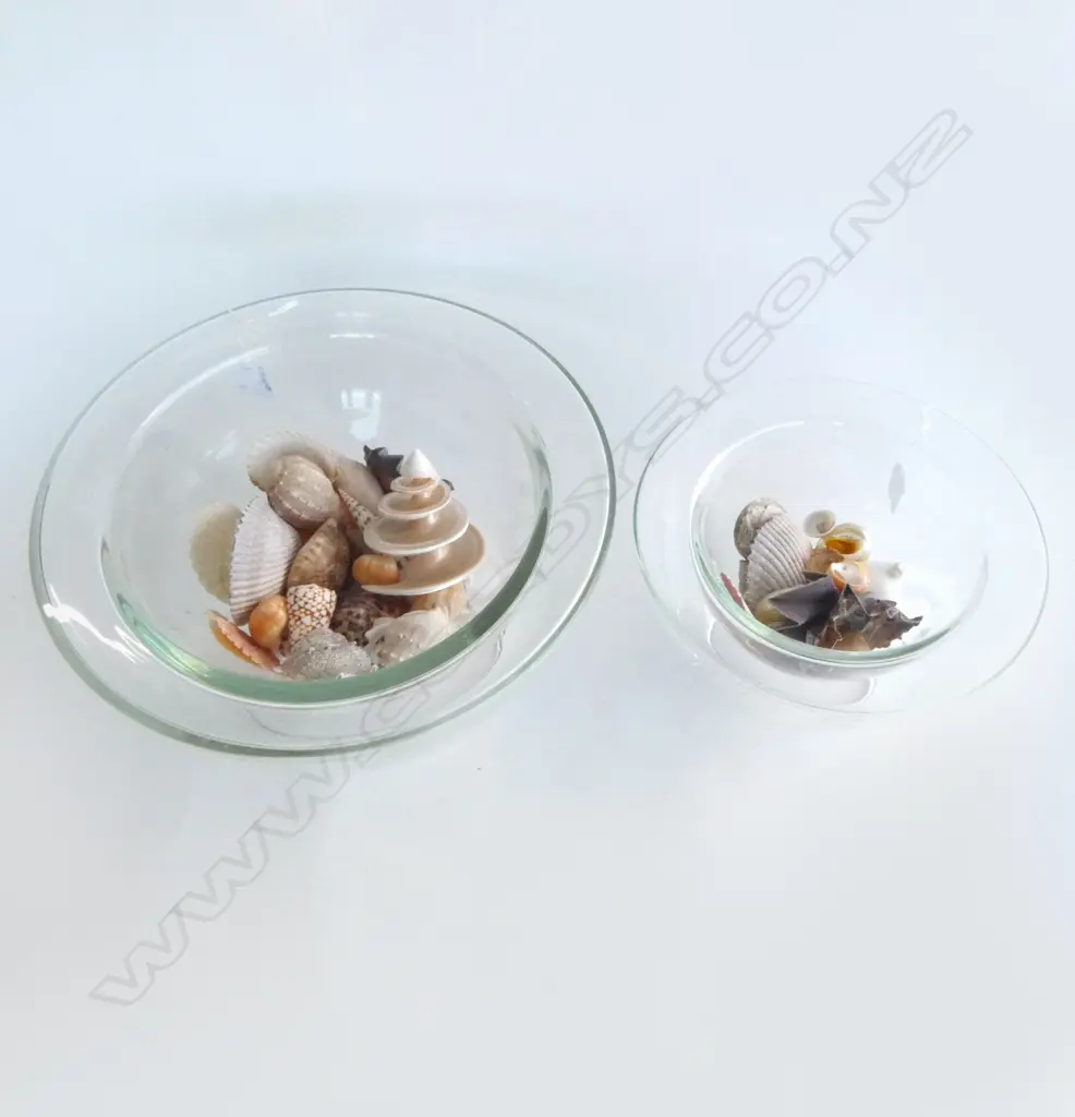 2 LARGE COUNTRY ROAD GLASS DISPLAY BOWLS  DIA350 LARGEST WITH BEACH SHELLS Image 1++