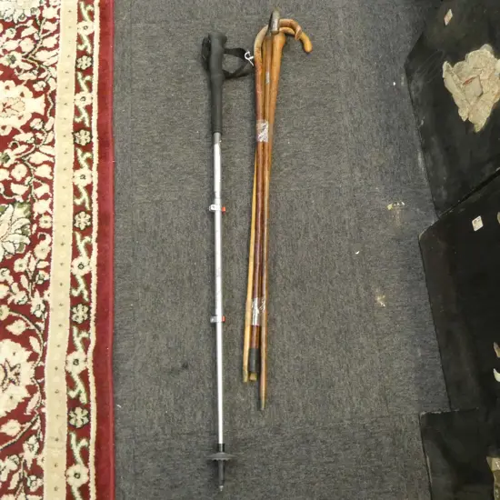 4 WALKING STICKS + KOMPERDELL POLE
