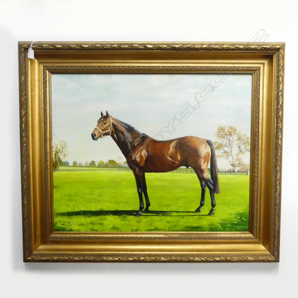 M. C. DURNEY, HORSE PORTRAIT, SIGNED & DATED 1986, OIL ON BOARD, 600x740mm Image 1++