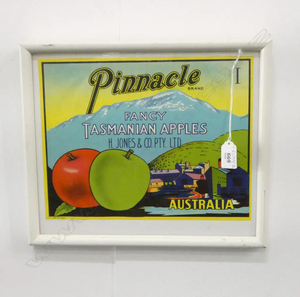 REPRO PRINT 'PINNACLE TASMANIAN APPLES' 215x280mm Image 1++