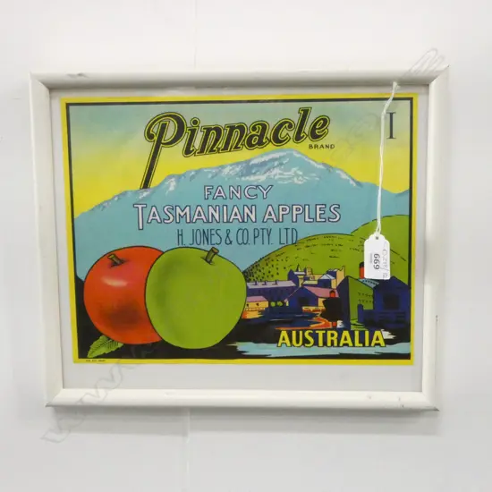 REPRO PRINT 'PINNACLE TASMANIAN APPLES' 215x280mm