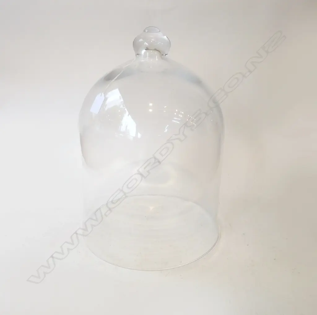LG GLASS CLOCHE H.430mm Image 1++