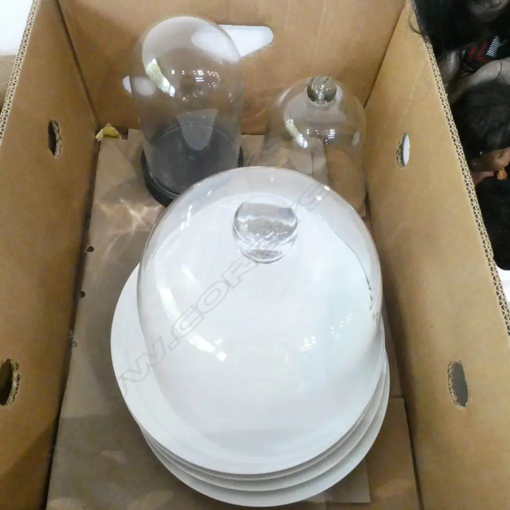 4 WHITE DINNER PLATES, 3 GLASS CLOCHE (1 w. BASE) H.240mm Image 1++