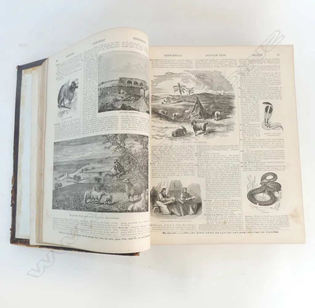 1879 DECORATIVE LEATHER & GILT BOUND 'COMPLETE DOMESTIC BIBLE' 320 x 270mm Image 1++