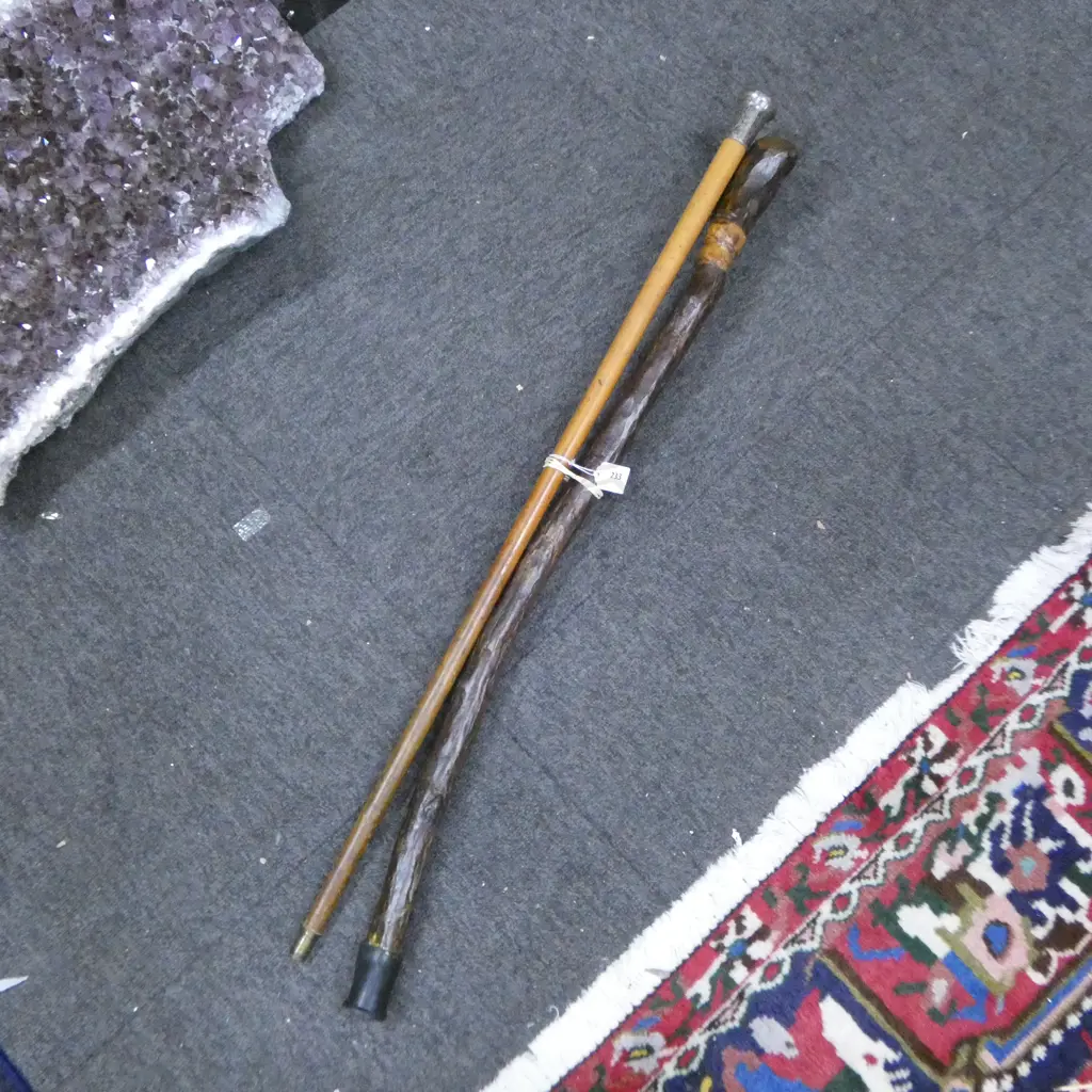 OLD CARVED KAURI WALKING STICK WITH INSET HALFPENNY L.870 mm & STERLING TOPPED EXAMPLE L.880mm Image 1++