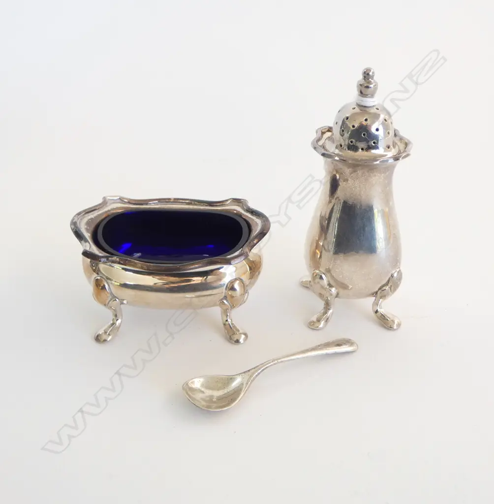 STG SILVER PEPPER + SALT (w. spoon)  92gms Image 1++