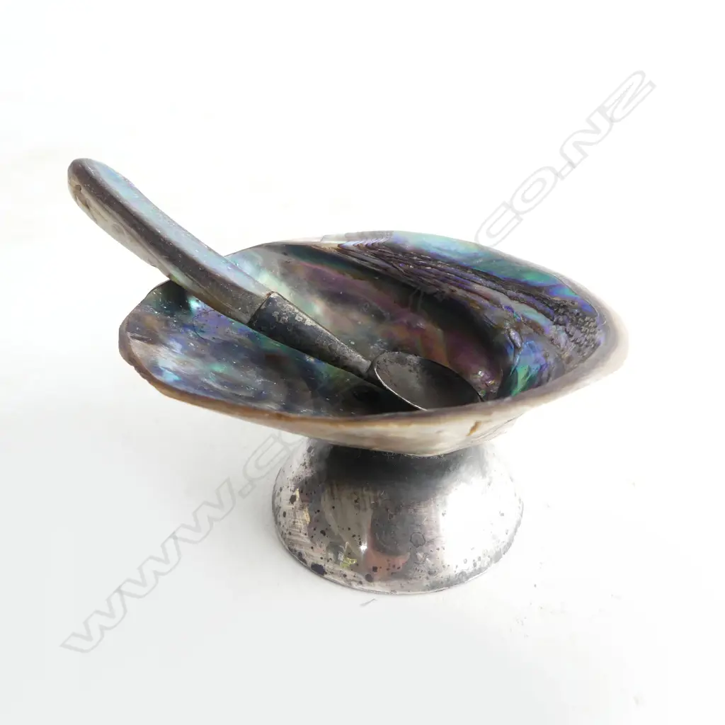 NZ PAUA SHELL & SILVER SALT & SPOON Image 1++