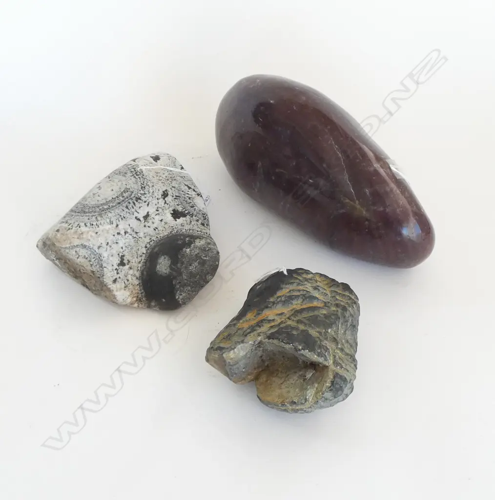 3 GEOLOGICAL SPECIMENS  Image 1++