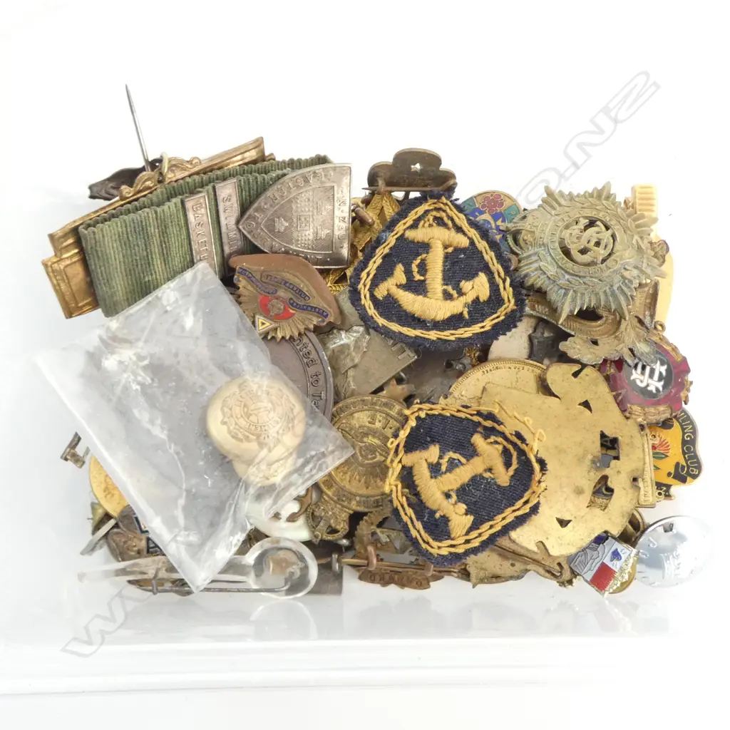 TRAY OF MILITARY BADGES & OTHERS Image 1++