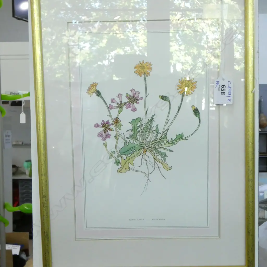 PR BOTANICAL PRINTS 285x190mm Image 1++