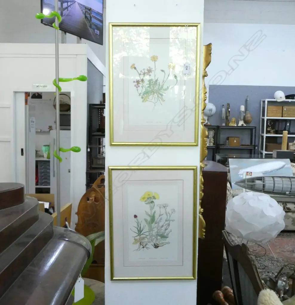 PR BOTANICAL PRINTS 285x190mm Image 1++