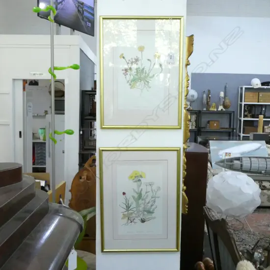 PR BOTANICAL PRINTS 285x190mm