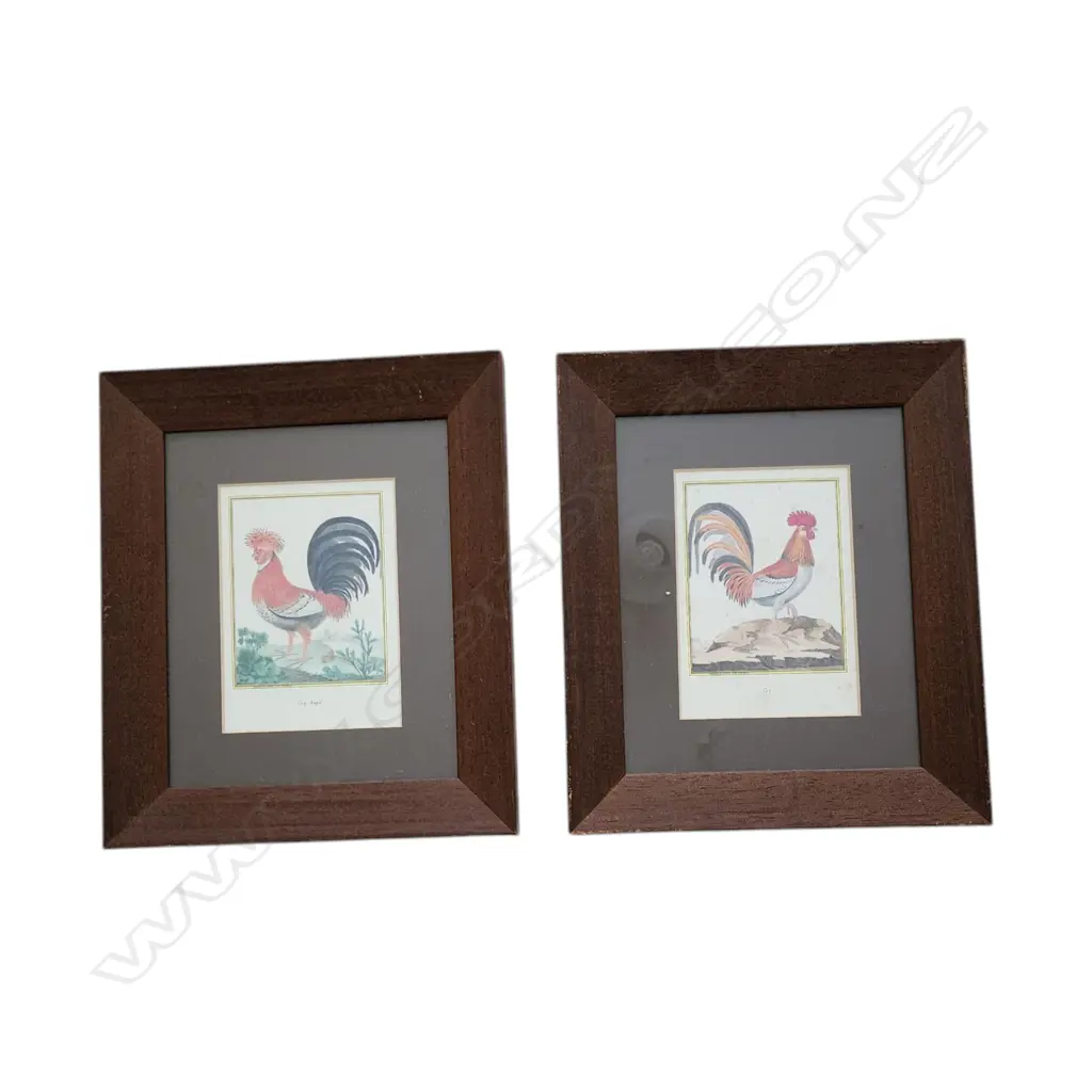REPRODUCTION VINTAGE CHICKEN, REN, ROOSTER PRINT – WOOD FRAME - SET OF 2 - 140x100mm Image 1++