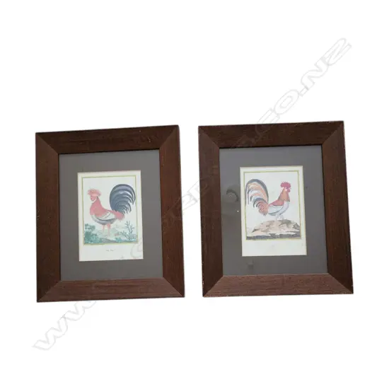 REPRODUCTION VINTAGE CHICKEN, REN, ROOSTER PRINT – WOOD FRAME - SET OF 2 - 140x100mm