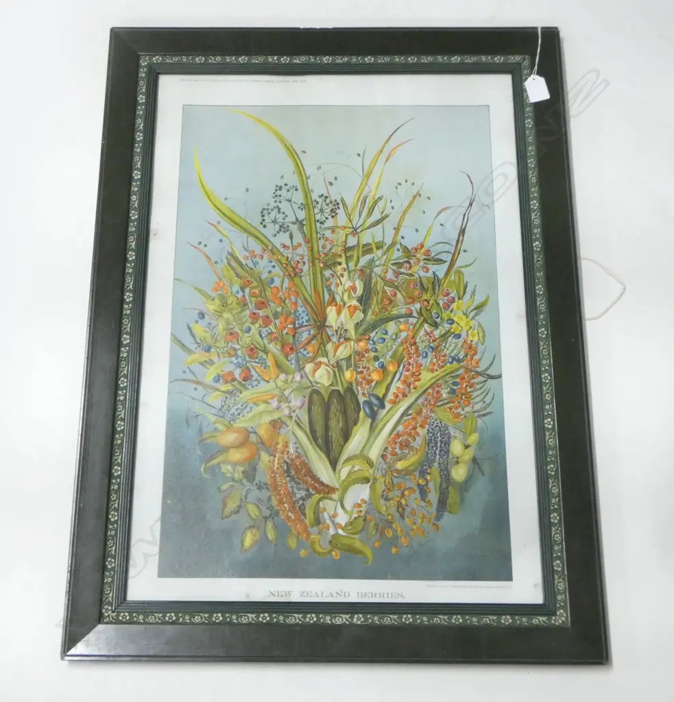 ANTIQUE CHROMOLITHOGRAPH 'NEW ZEALAND BERRIES' 645x440mm Image 1++