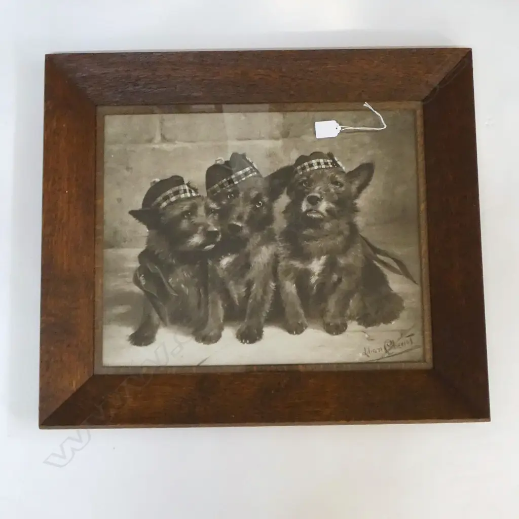 ANTIQUE PRINT OF SCOTTIE DOGS IN SCOTTISH BONNETS Image 1++