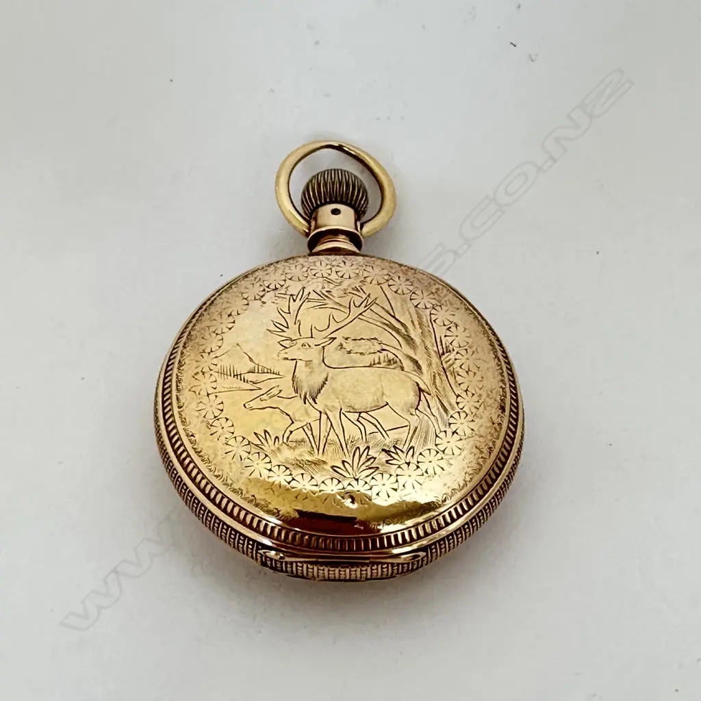 Substantial 14ct hunter pocket watch by the Elgin Watch Co., Illinois, USA Image 1++