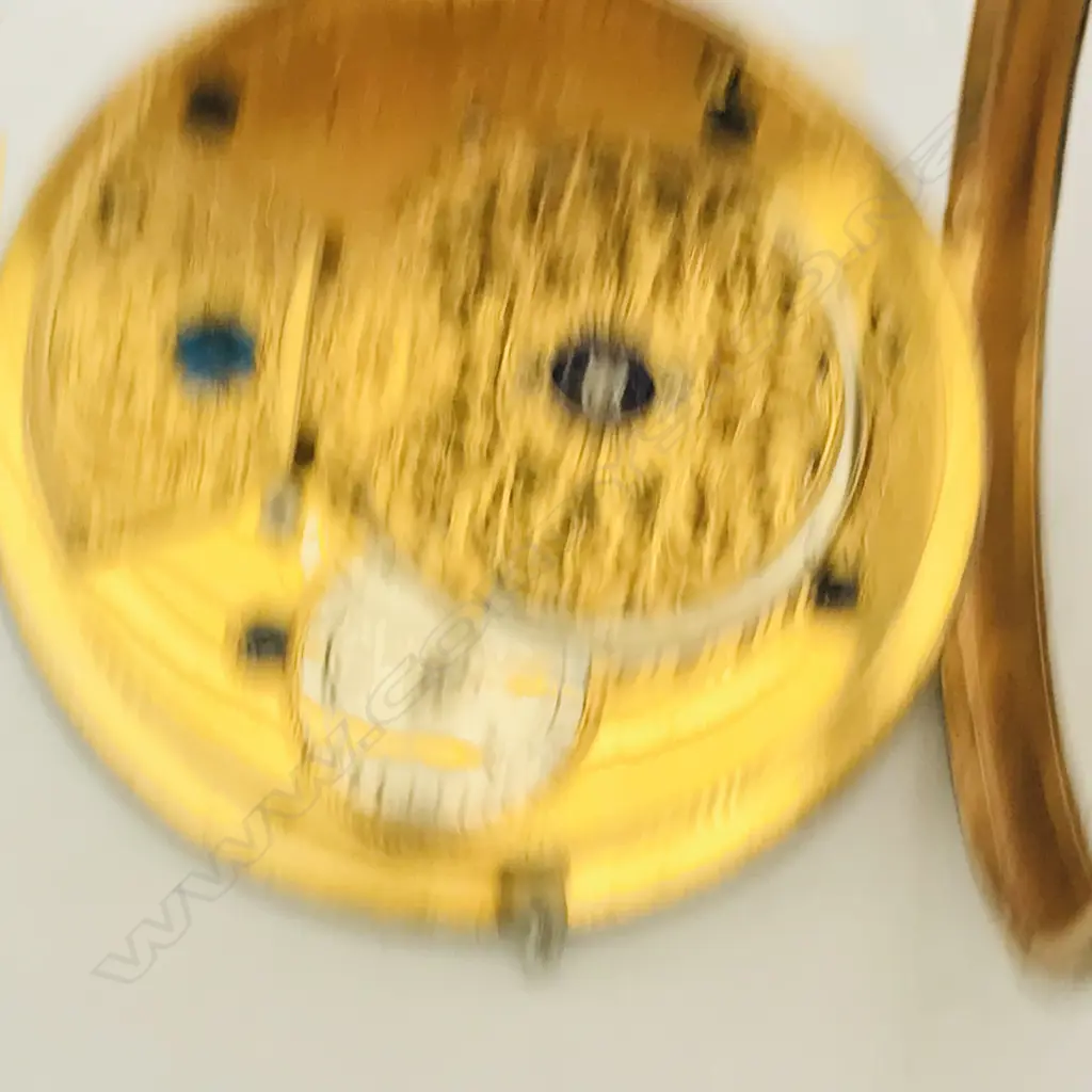 Shagreen pair cased pocket watch - by D.D. Neveren, London, Image 1++