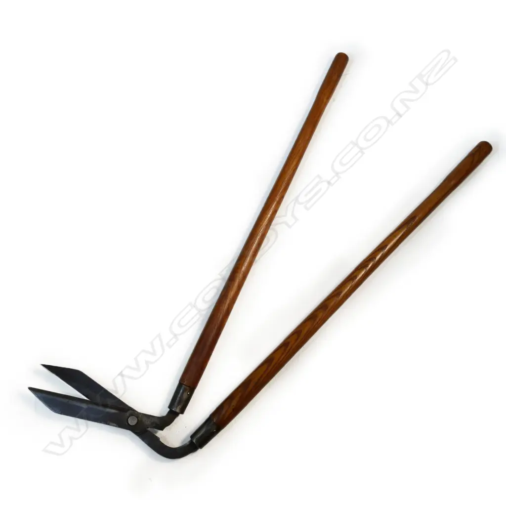 A pair of old angled pruning shears, Image 1++