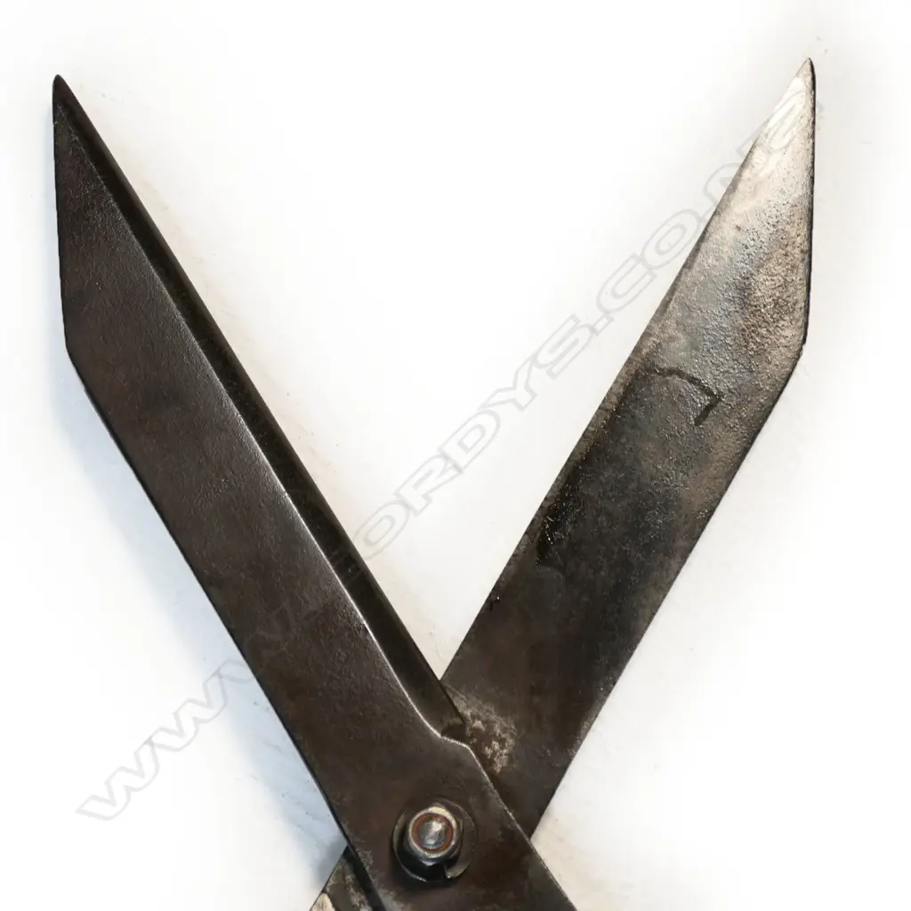 A pair of old angled pruning shears, Image 1++