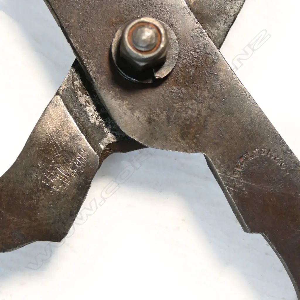 A pair of old angled pruning shears, Image 1++