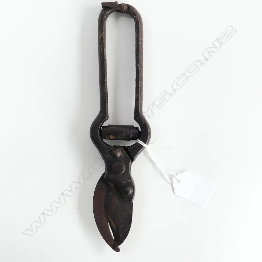 A pair of old vine shears, Image 1++