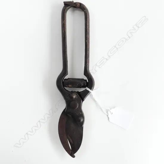 A pair of old vine shears,