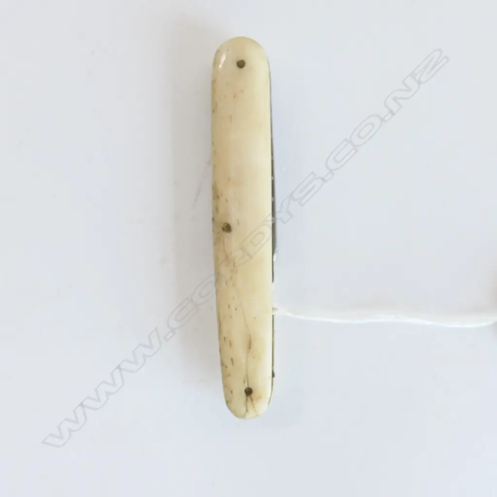 An old pocket bone folding knife, Image 1++