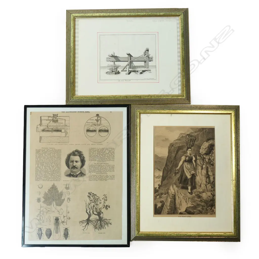 Three wine themed 19thCprints, Image 1++