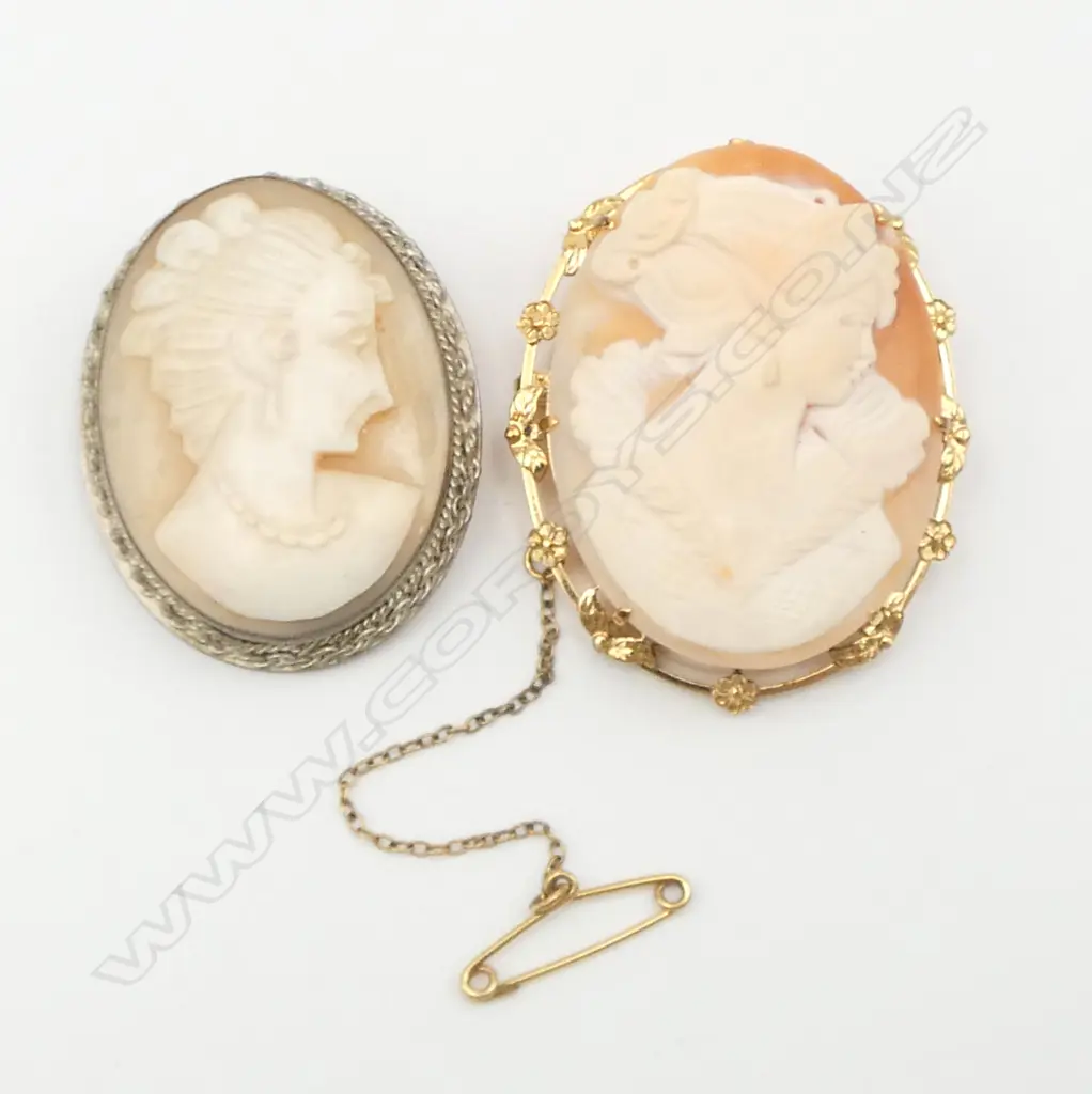 2 CAMEOS women in profile. Gilt & silvered frames Image 1++