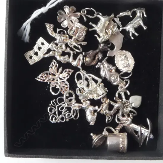 ASST. STG SILVER CHARMS TW 30.2gms
