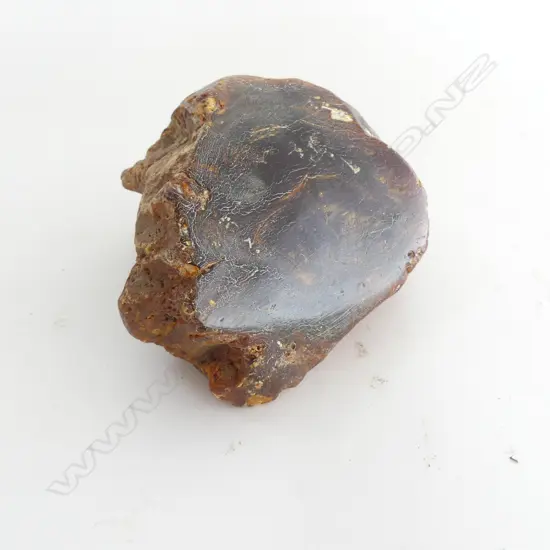 DARK KAURI GUM BOULDER with polished face 130 x 100mm